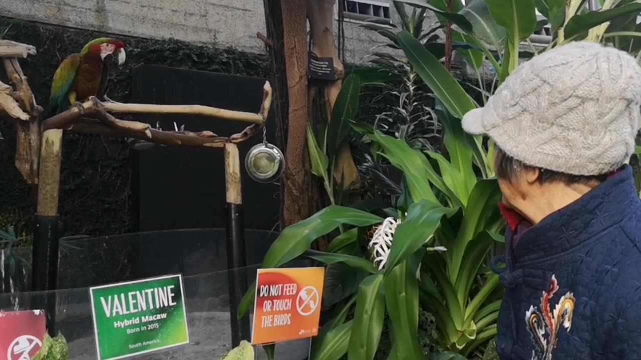 超越极限 over the limits