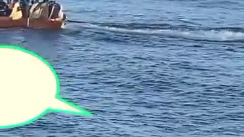 Migrant in the sea