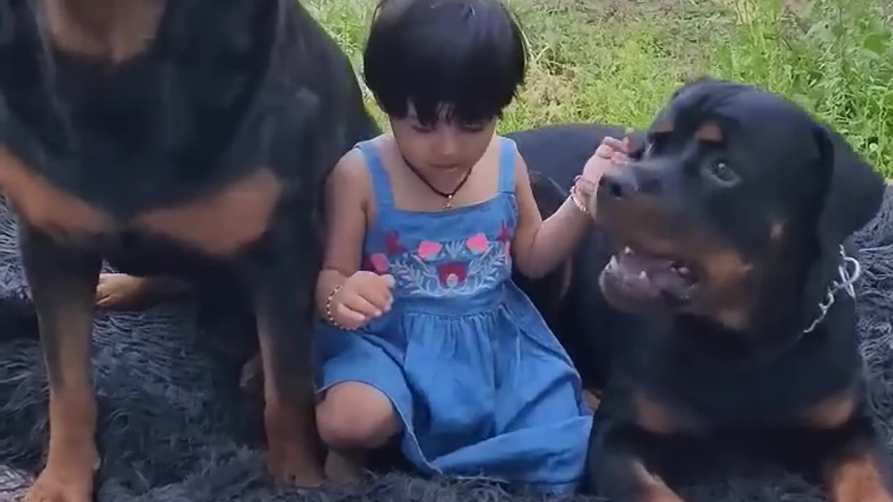 Dog the real protector