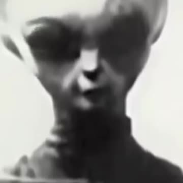 Video of Gray Aliens?