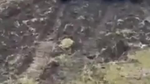Russian mechanized assault group heading into battle