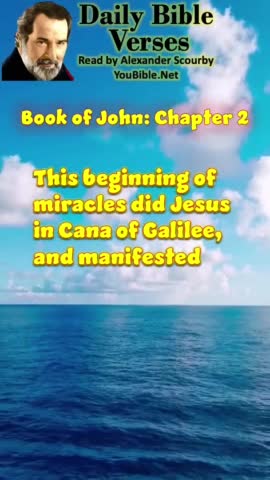 [ JOHN 2 ] | Scourby Audio Bible Verses with TEXT