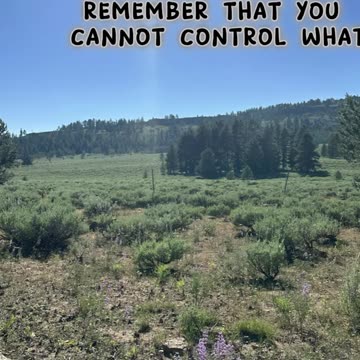 Let your actions speaks for themselves