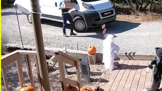 Deliveries Never Seem To Go To Plan