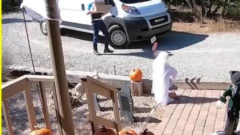 Deliveries Never Seem To Go To Plan