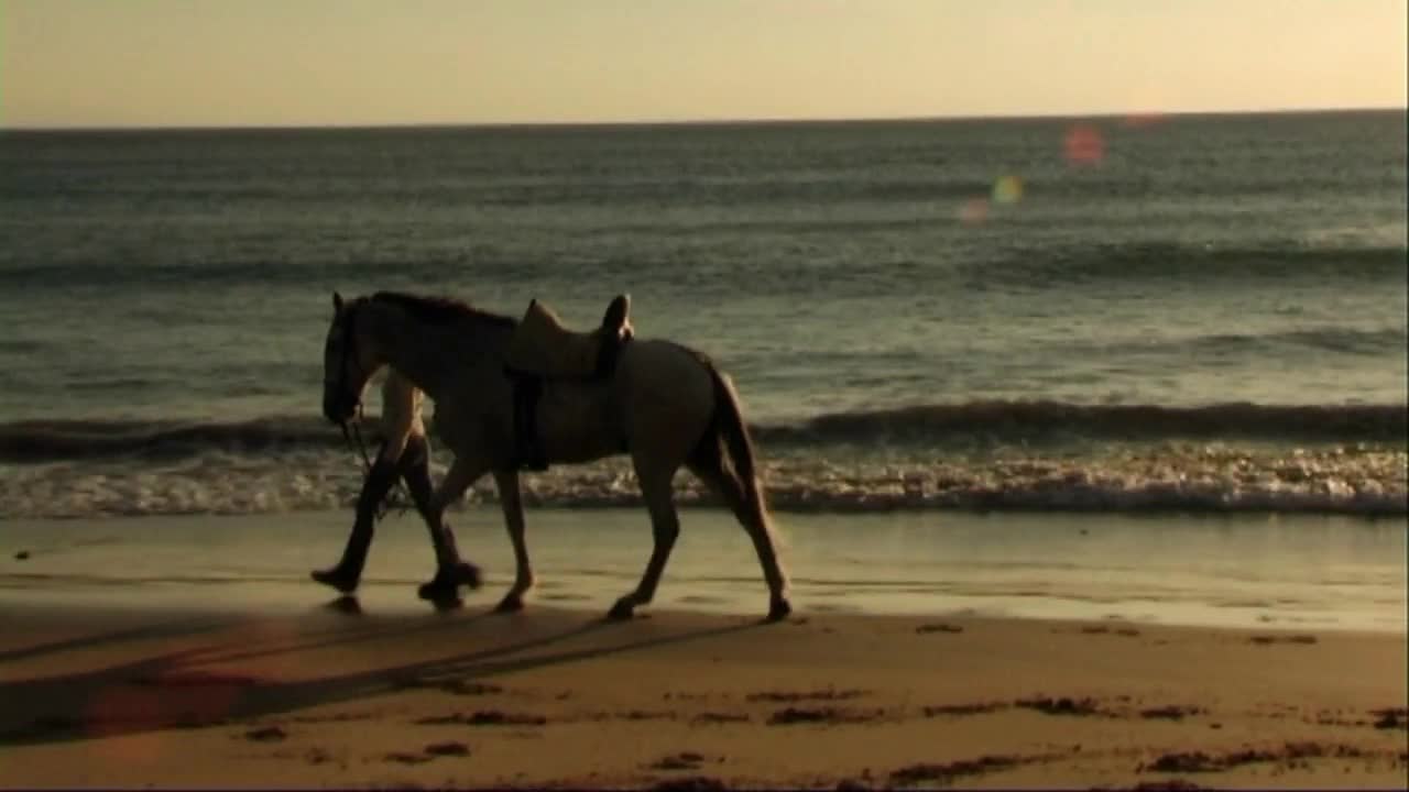 Woman leading horse at seashore