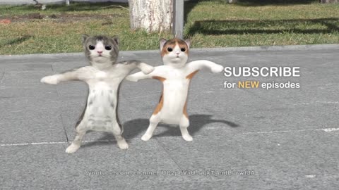 Dance funny cat #funny#cat# cat. Video in rumble