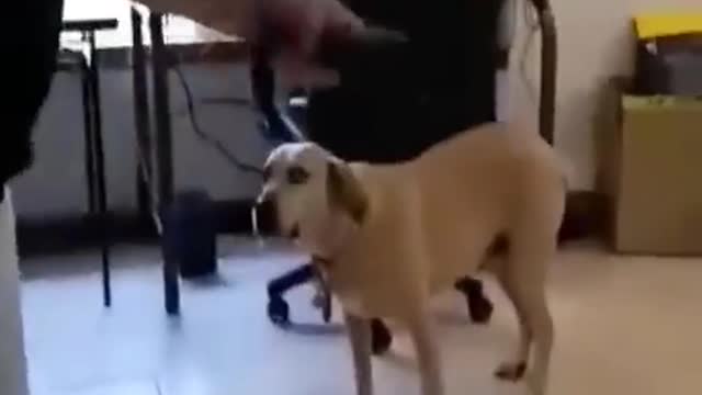 Funny