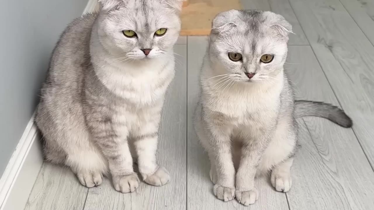 Soniya_and_❤️