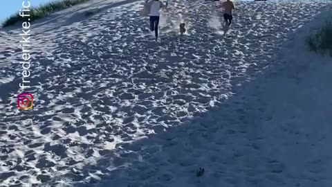 The end 😂😂😂 #funny #viral #shorts #funnyvideos #trustedhumor