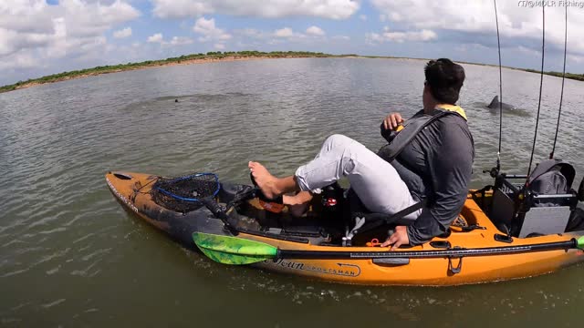 Pod of Dolphins Play with Kayakers