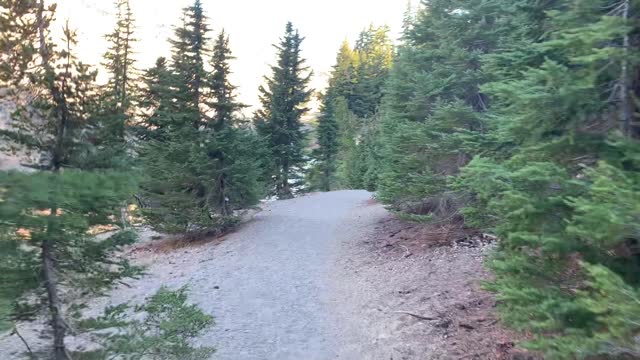 Central Oregon - Three Sisters Wilderness - Meticulous Alpine Forest