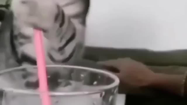 This animal is very cute and exciting