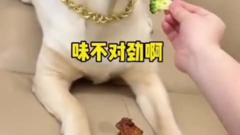 Taste test