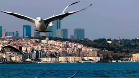Beautiful Istanbul
