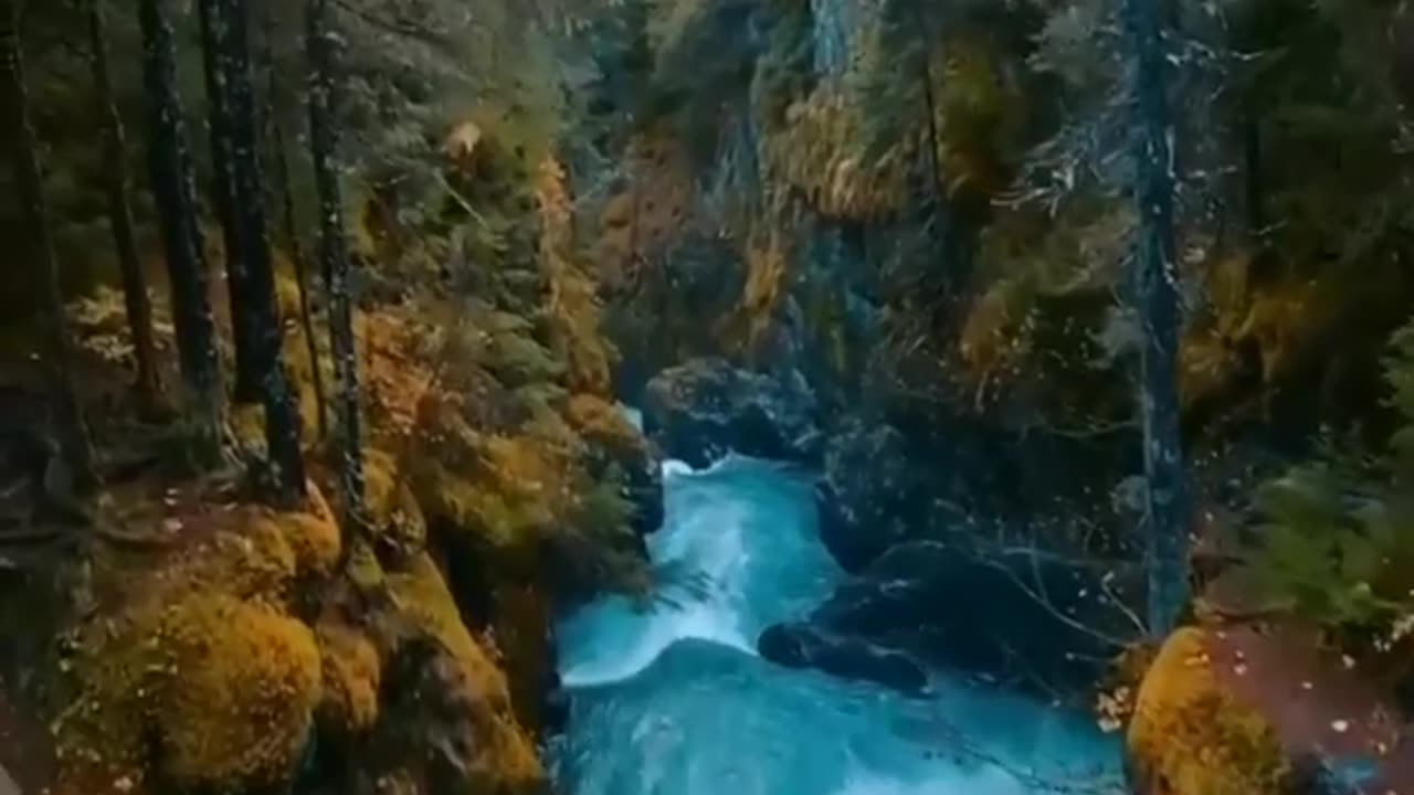 Natural landscape video 7