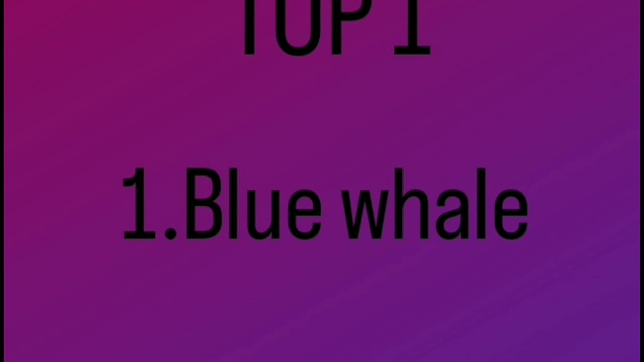 Top 10 largest animals in the world