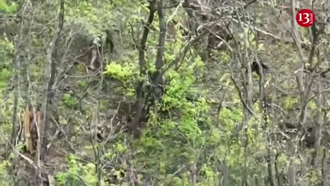 Russian soldier surviving a battle, taken hostage by Ukrainian soldier in a wooded area