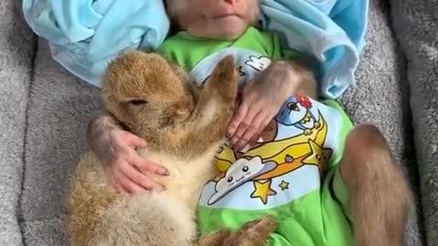The best video ever 😍🥰🤗😍