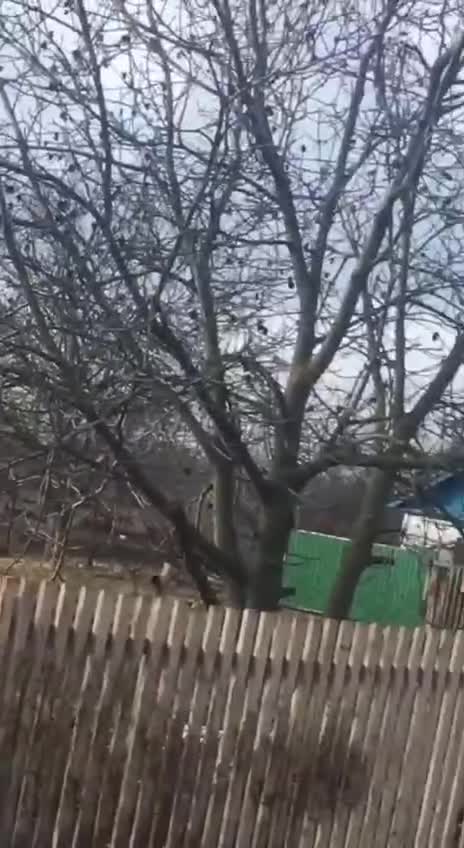 Russian Mi-28N in Mykolaiv region