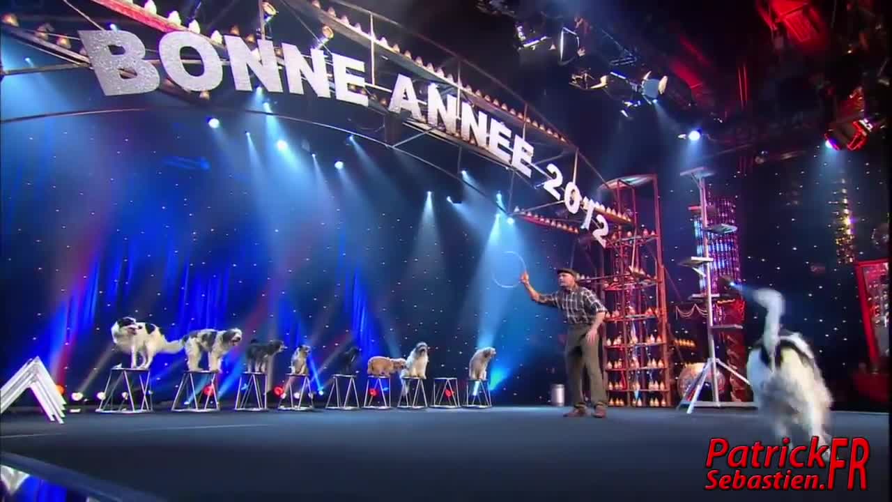 Wolfgang Lauenburger - Dressage de Chiens - Le Plus Grand Cabaret Du Monde