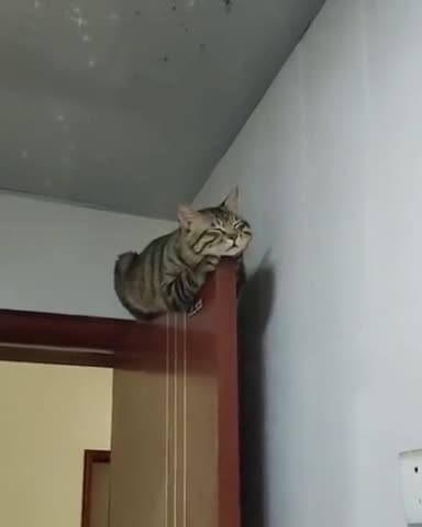 They don't settle for boxes