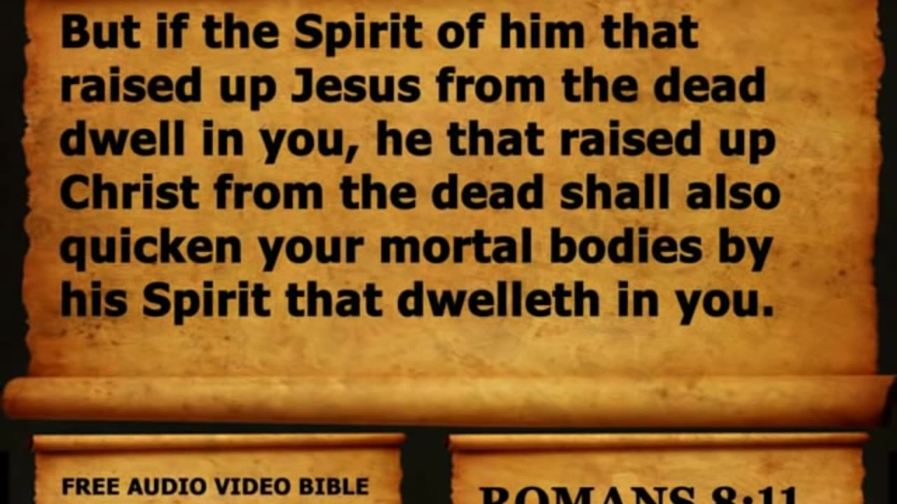 Bible Book 45. Romans Complete 1-16, King James Version (KJV) Read Along Bible