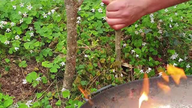 Amazing Kebab recipe😱🔥💯 prepared outdoors 🌲