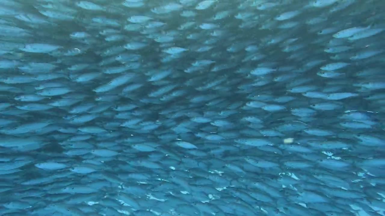 Keahou Bay