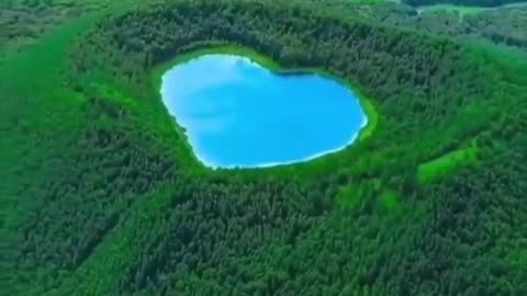 Nature short video #natural #shorts