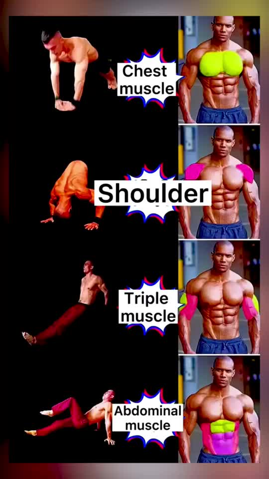 Upper Body Workout Exercises