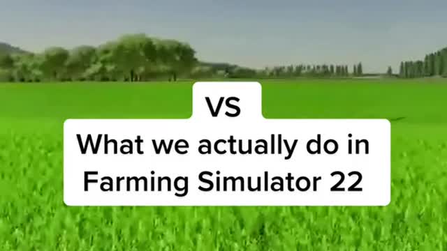 Just another day on the farm