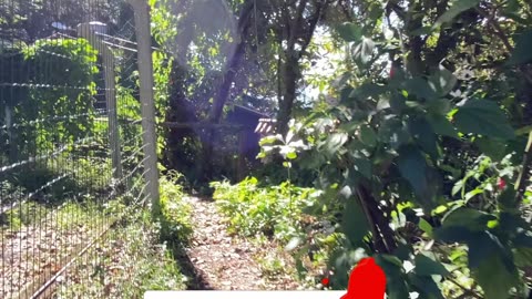 1/15 - Guiando você pelo paraíso: Praia da Ponta dos Ganchos em Governador Celso Ramos