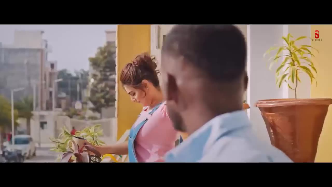 Song (kaka)