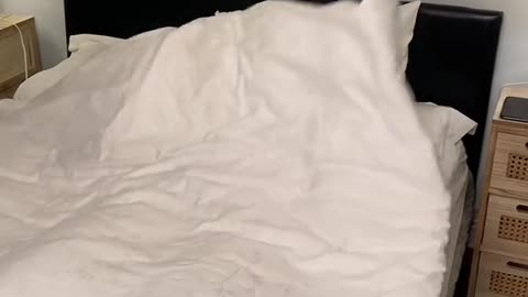That's what it feels like when you sleep