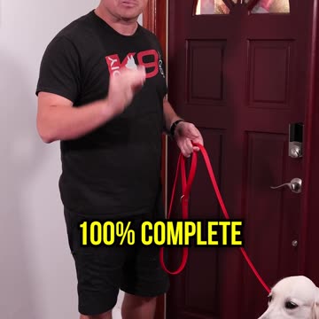 How to Stop Your Dog From Running Out the Door