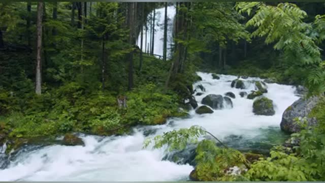 fast lake scenery