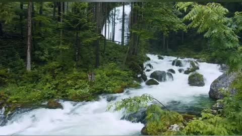 fast lake scenery