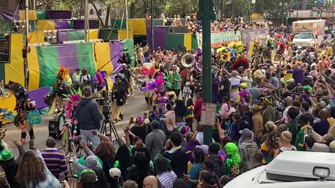 Mardi Gras