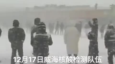 Weihai, Shandong, on 12.17 - four separate queues for compulsory COVID tests in heavy snowstorm!