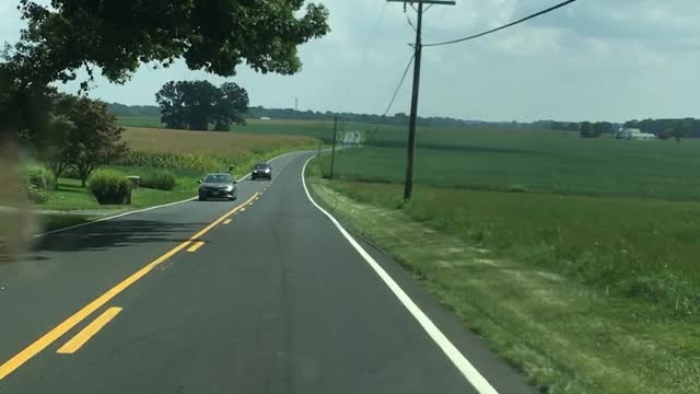 corn on left, beans on right