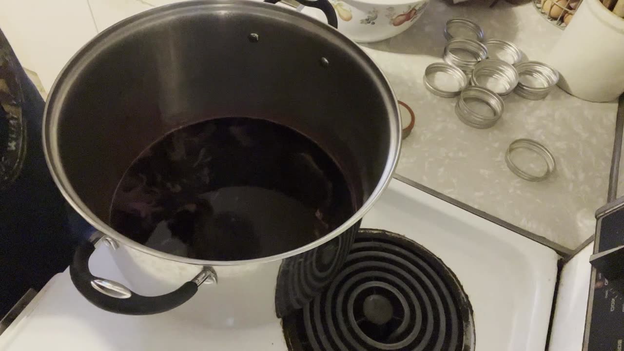 Chokecherry Jelly and Syrup - Garden to Table (Jelly Fail!)