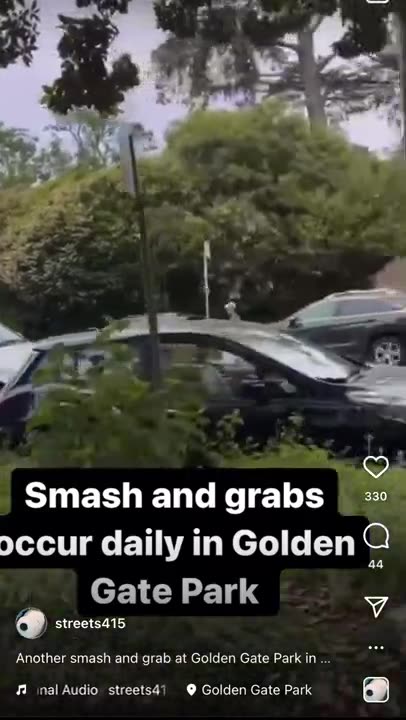 Smash and Grabs Occur Daily in Golden Gate Park