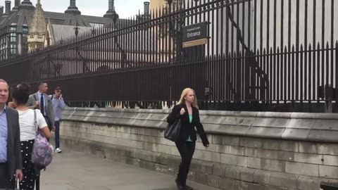 Paedophiles In Parliament (2018) - reported by Sonia Poulton