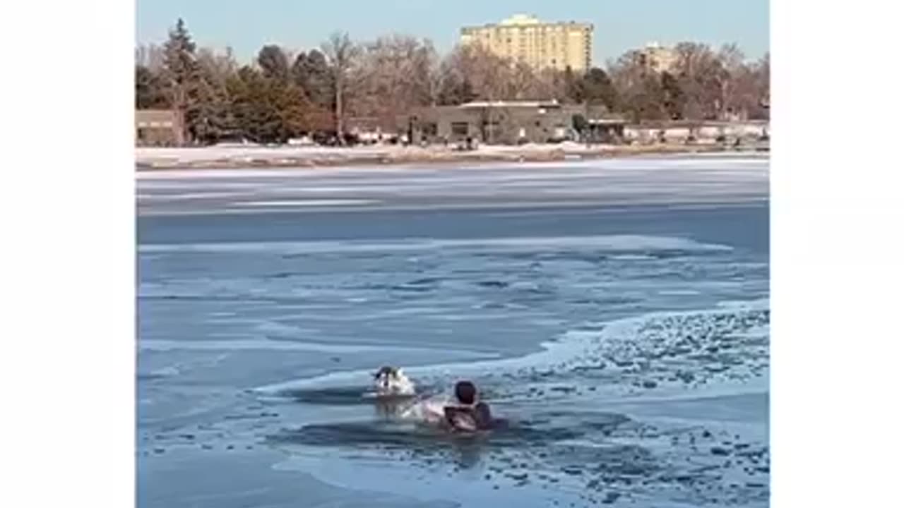 Saving a husky from Freezing