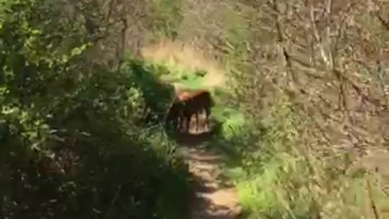 APRIL SHOWERS ????? SAME NONSENSE AS LAST YEAR AND THE YEAR BEFORE