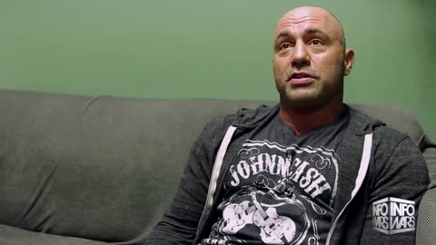 Joe Rogan on Awakening