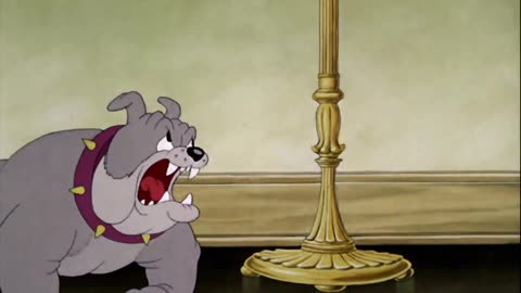 Tom and Jerry - Dog Trouble