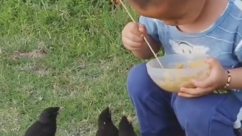 Boy serving by birds