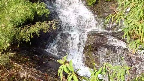 Fress water